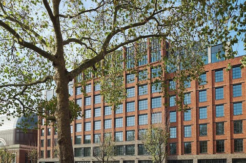 더 혹스턴 셰퍼드 부시