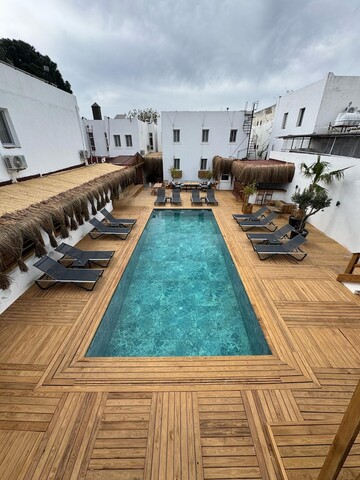 코스타 비바 보드룸