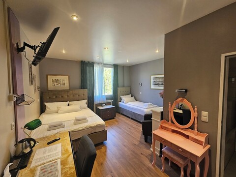 호텔 프랑켄 안 데어 메세