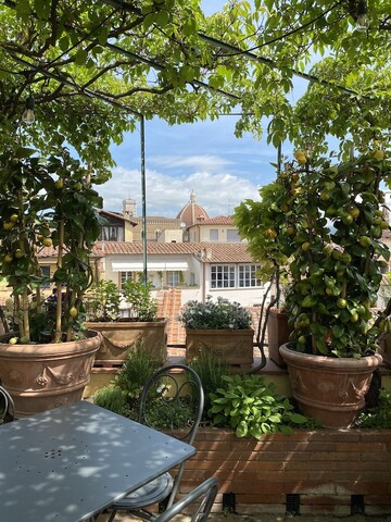 호텔 에르미타주