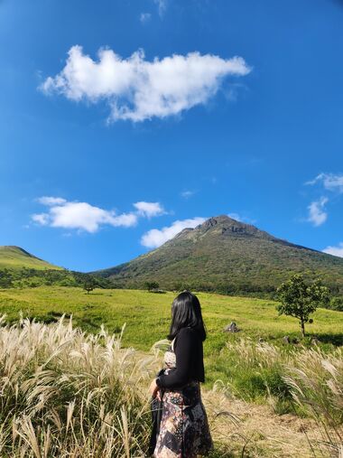 [라쿠투어] 히타·유후인·유후다케·벳푸 버스투어