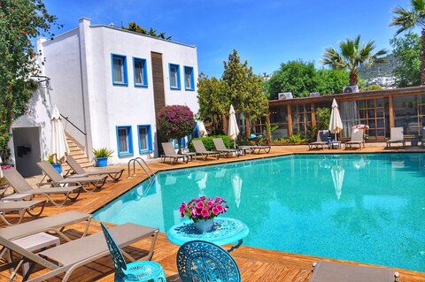 코스타 보드룸 시티