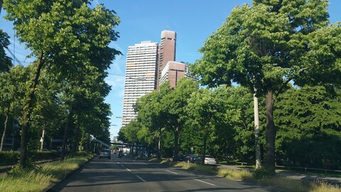 디자인 슬리피 쾰른