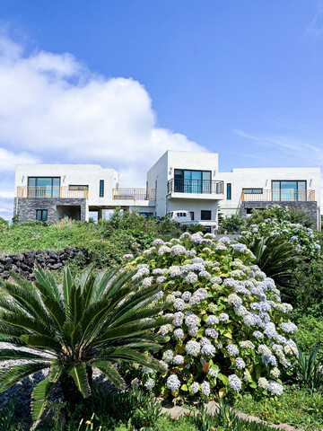 제주 금토일펜션