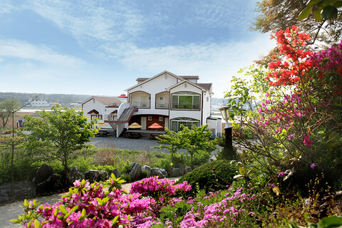 태안 안면도발리펜션