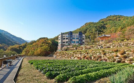 강릉 보이저펜션