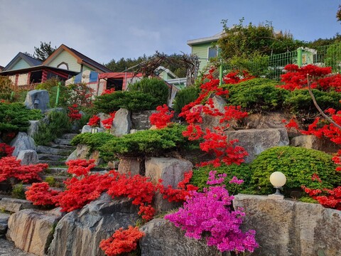 고성 뉴패밀리펜션