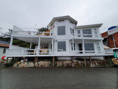 포항 화이트웨일