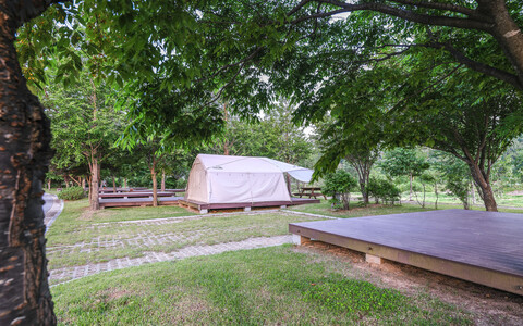 고성 송정마을 수목화 오토캠핑장