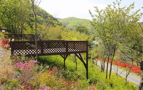 청양 고운글램핑