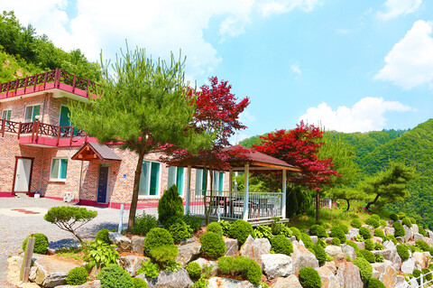 가평 지희네펜션