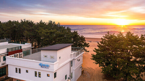 태안 쉘비치펜션