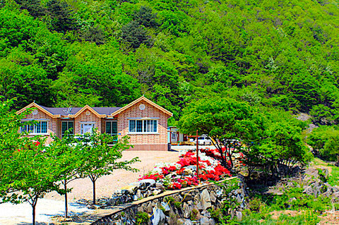 청송 얼음골펜션