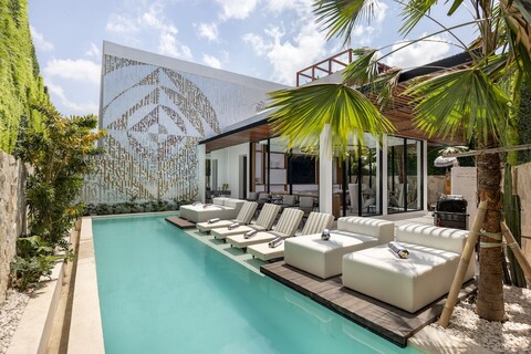 알렉스 빌라스 컴플렉스 N2