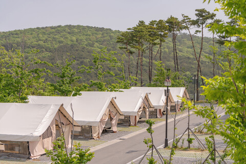 울산 힐링빌리지