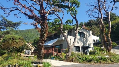 단양 갤러리하우스펜션