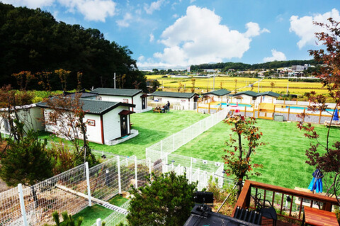 파주 임진강펜션