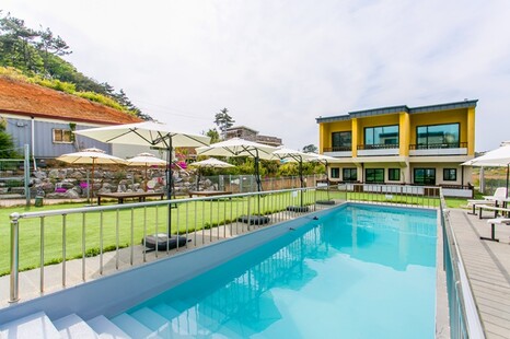 태안 더마루애견펜션