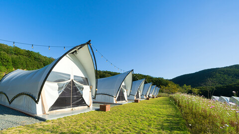 울주 별숲글램핑