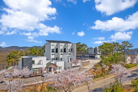 대부도 조아라펜션