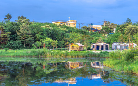 고성 봉포레이크글램핑&오토캠핑장