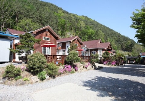 영월 미사밸리펜션