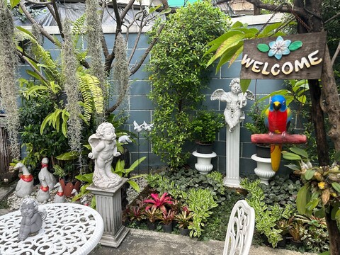 "반파사이 아누"