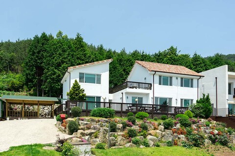 남해 편백나무아래펜션