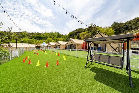 청도 신난다애견글램핑