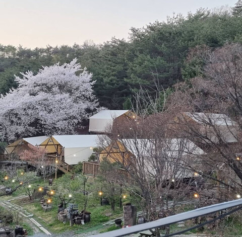 제천 청풍월드니스글램핑