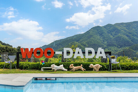 가평 우다다애견펜션