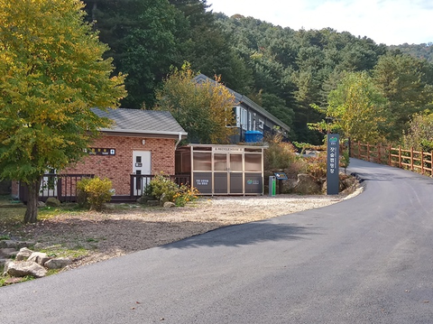 포천 지동잣숲캠핑장