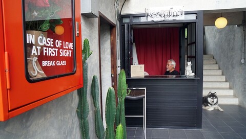 룸파이 로프트 해비타트