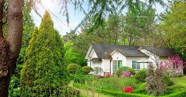 태안 백화원리조트