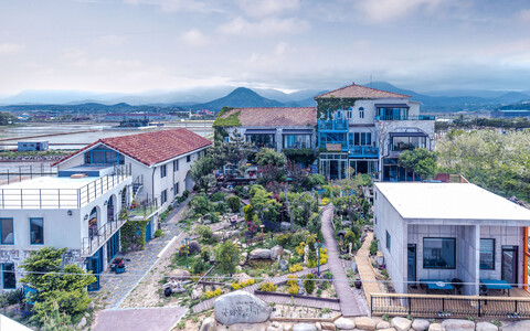 고성 국화꽃향기애견동반펜션