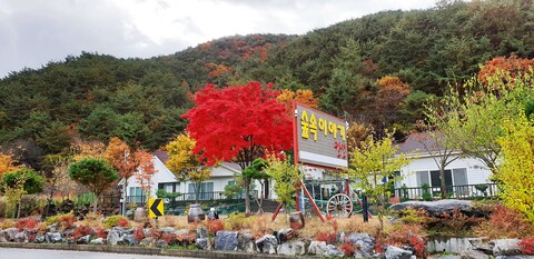 괴산 숲속이야기펜션