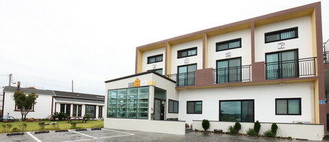 제주 토브집펜션