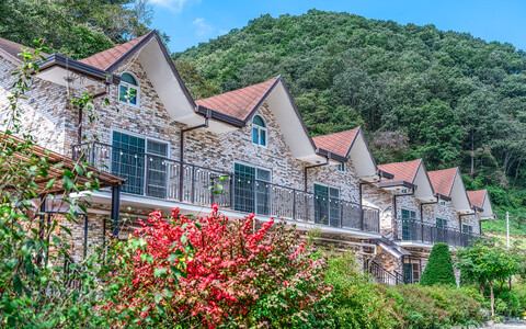 대전 파파지붕&마마펜션