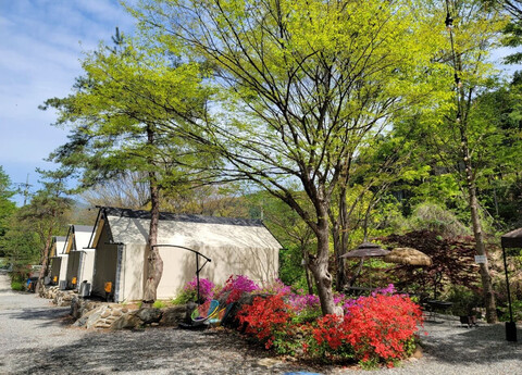 가평 아린글램핑