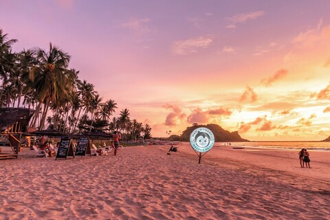 매드 멍키 호스텔 낙판 비치 - 어른 전용