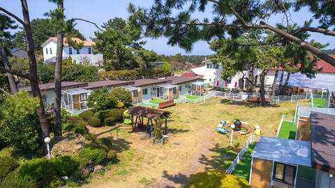 제주 댕댕이파크 리조트