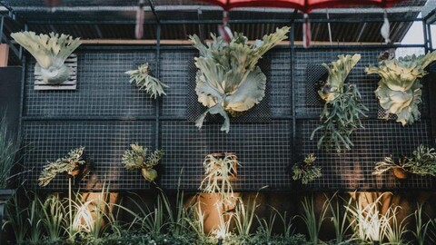 멜리오라 발리 빌라