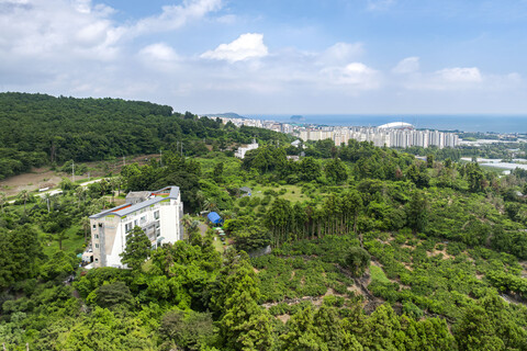 서귀포 엠리조트