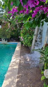 Casa Michelangela - Holistic bio Hotel