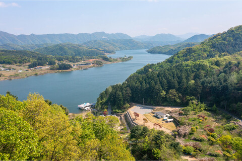 가평 꼬다리우스