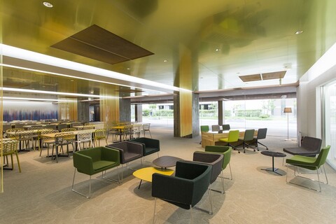 L 스테이 & 그로우 하루미