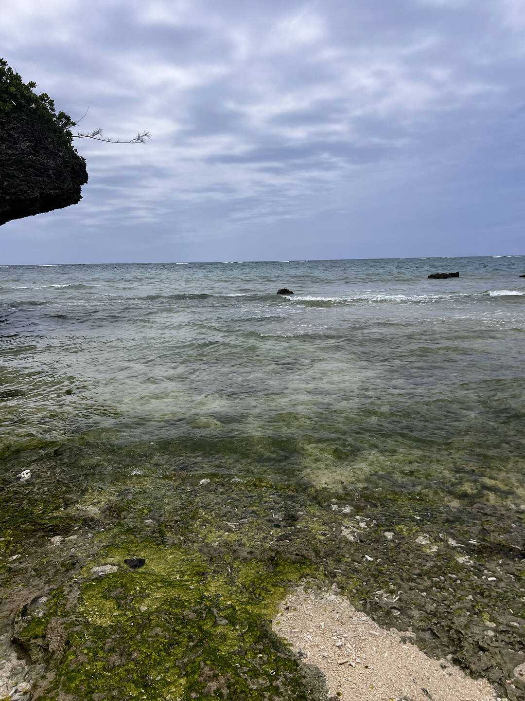 오키나와-맛집2