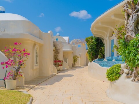 유키 스위트 코리지마