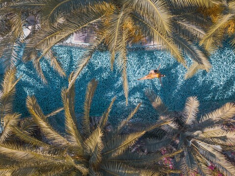 플라밍고 호텔 & 스파 - 펫프렌들리