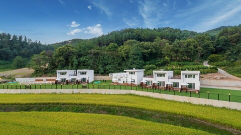 홍천 펫티움펜션